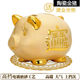 斯宝路存钱罐儿童储蓄罐大号不可取实用陶瓷金猪储钱罐摆件钱罐只