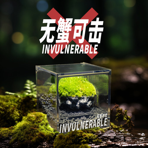 丘辰微景观定制伴手礼送情侣老师