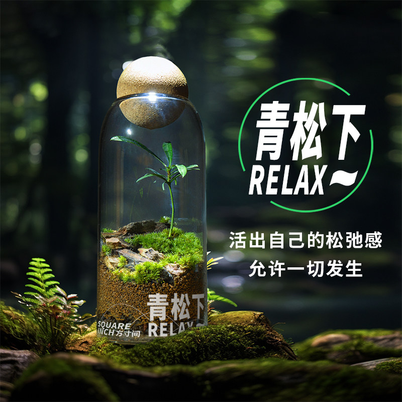 丘辰青苔藓微景观生态瓶办公室内桌面植物盆栽DIY造景观摆件绿植