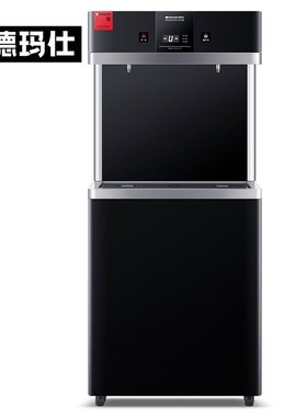 极速德玛仕(DEMASHI)直饮A水机商用学校烧水机学校用开水器不锈