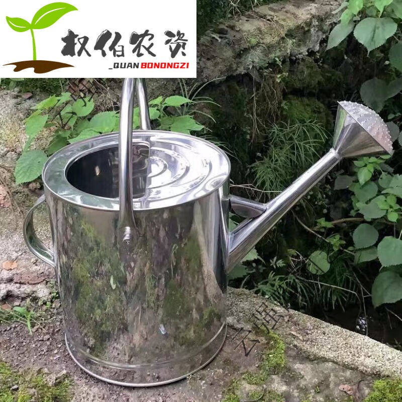 极速旭杉斯加厚304不锈钢洒水壶浇水I壶浇菜壶浇花壶大容量喷壶园