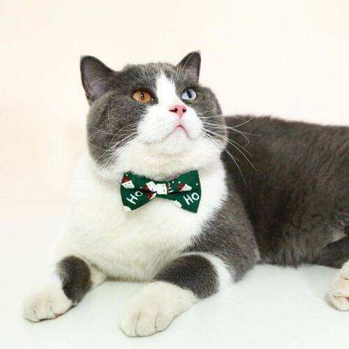 新品Pet Dog Collarp Lovely Pet Cats Dogs Bow Tie Collar