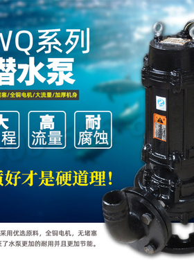 极速潜水泵300WQ/QWn800-8-37/300WQ800-9-37KW大流量口径污水泵