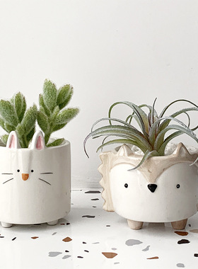 极速创意icns风多肉陶瓷花盆可爱动物盆仙人掌多肉植物盆桌面阳台