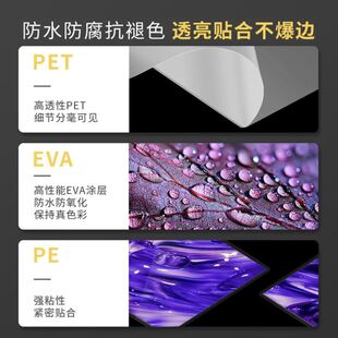 4RFq 极速塑封膜3寸5寸6寸7寸8寸 6R相片膜6丝7丝8Ca4过