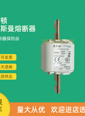 极速快速熔断器保险170M3488 170MA3489 170M3490 170M3491