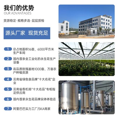 极速厂家厂家玫瑰永生花头年花材干花真花束手感仿真X花礼物网红