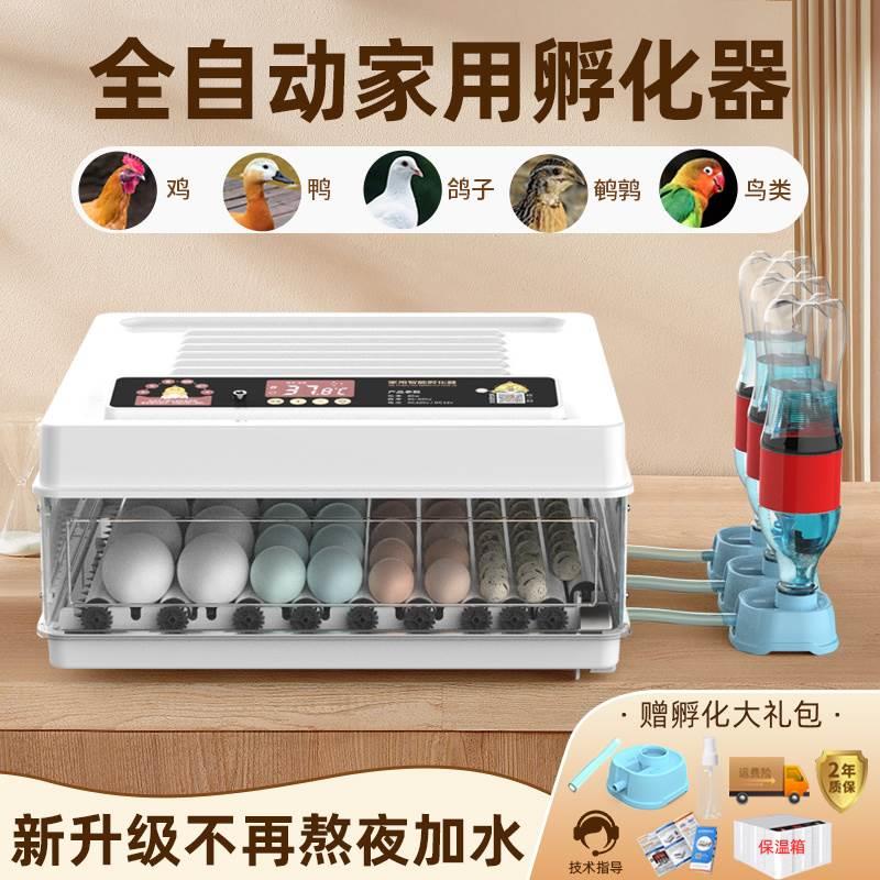孵化器孵蛋器芦丁鸡小型孵化机家用迷你全自动智能鹦鹉鸽子孵化箱