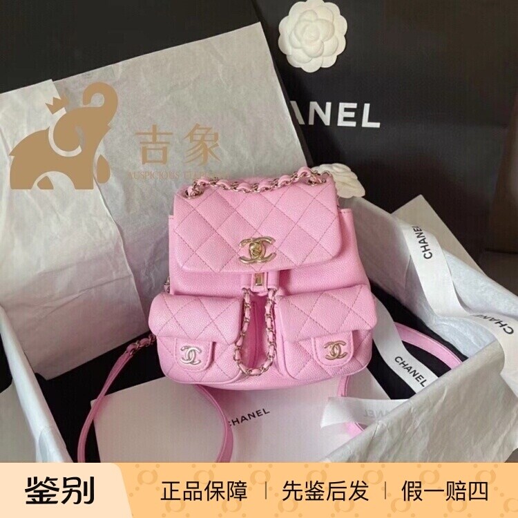 Chanel香奈儿23P新款牛皮链条包