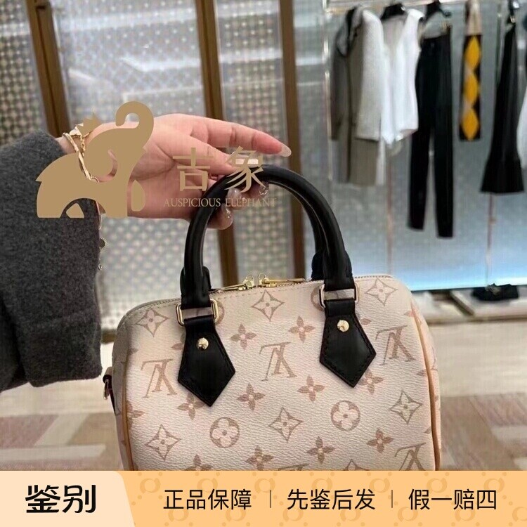 LV路易威登2025新款女包