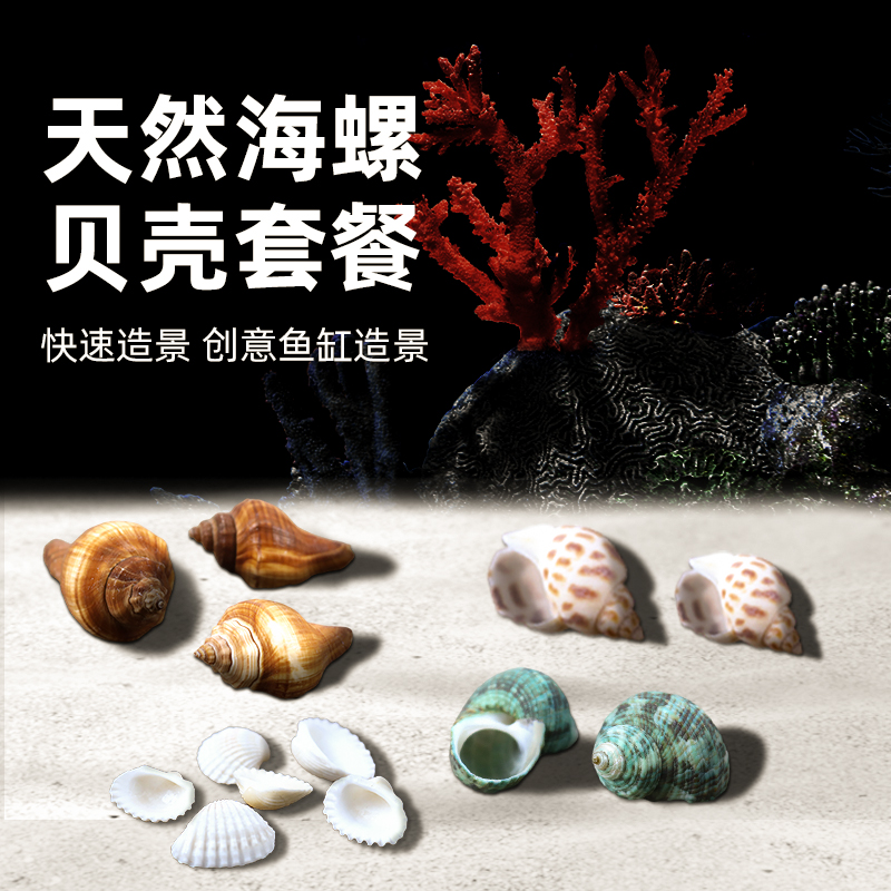 速发景壳海螺鱼缸造贝装饰摆蟹海星工艺品寄居件水族箱布景套装
