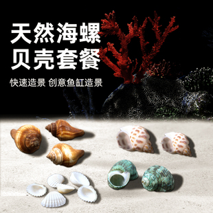速发景壳海螺鱼缸造贝装饰摆蟹海星工艺品寄居件水族箱布景套装