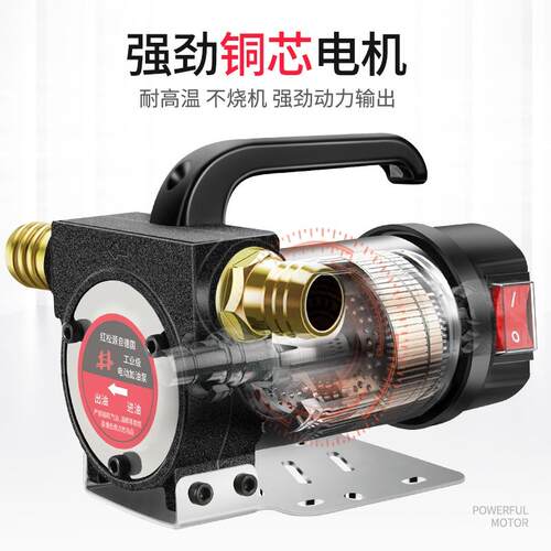 速发新款电动抽油泵小型12V24V220V伏柴油加油机正反抽油机自吸泵