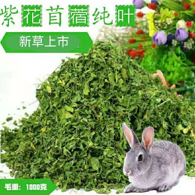 速发苜蓿草全1叶纯叶子兔兔幼粮牧草干草兔子猪毛重草kg