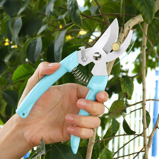 速发园林剪艺剪刀树枝粗枝摘果园果树家用多功能修枝剪花艺剪工具