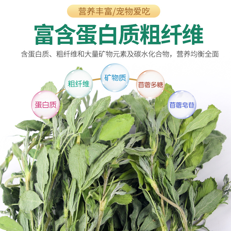 速发苜蓿草西草幼兔兔干草新鲜豚鼠猪提摩子草兔粮兔饲料干草