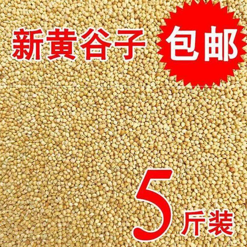 速发乌食鸟饲料小鸟吃的食物麻雀鸟食小鹦鹉鸽子颗粒201带壳鸟用
