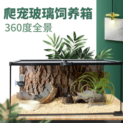 速发爬宠玻璃缸角缸守宫寄居蟹饲养箱造景爬虫雨蛙林小型乌龟缸客