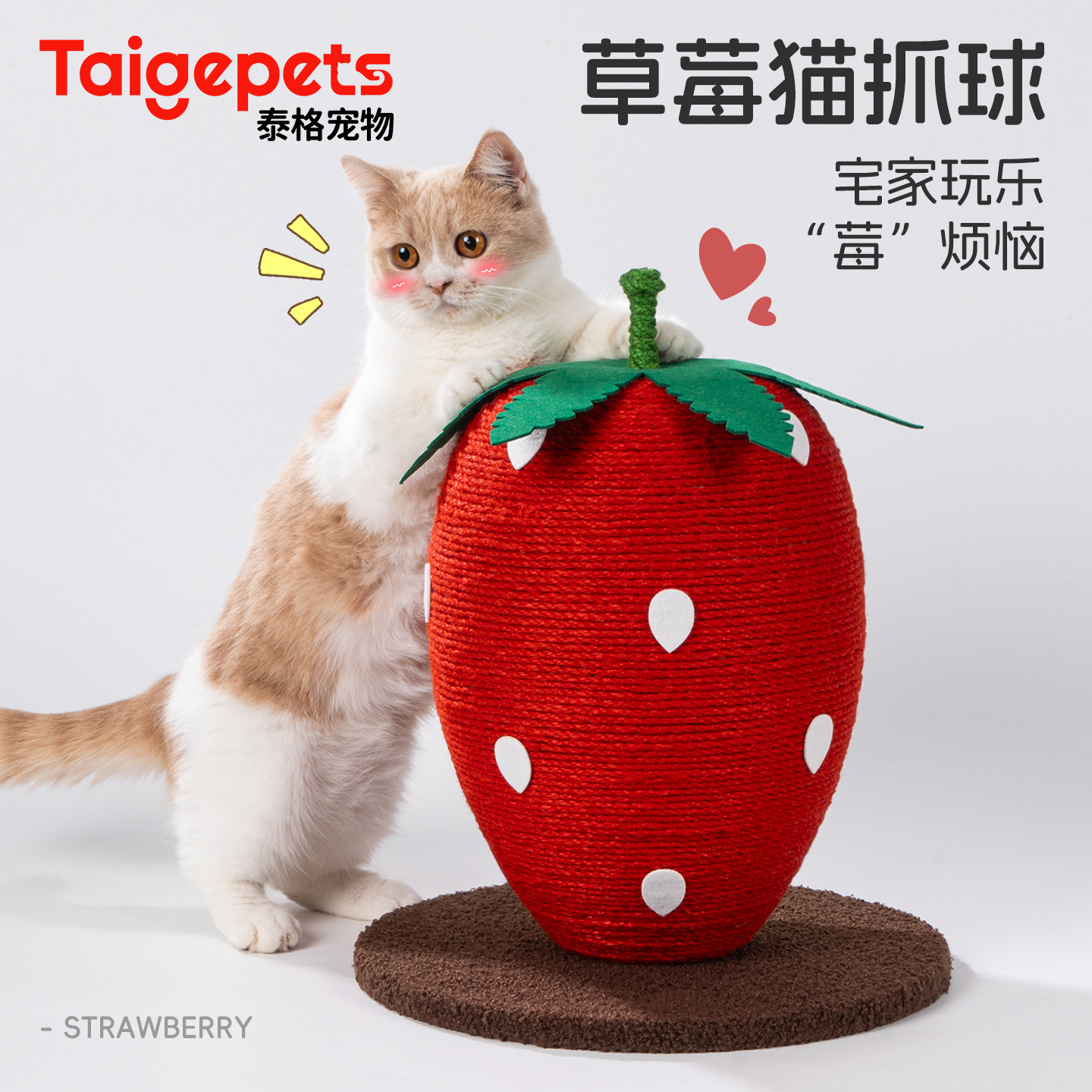 宅家玩乐“莓烦恼”丨剑麻猫抓柱