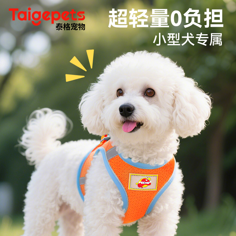 超轻透气丨小狗专用胸背带牵引绳