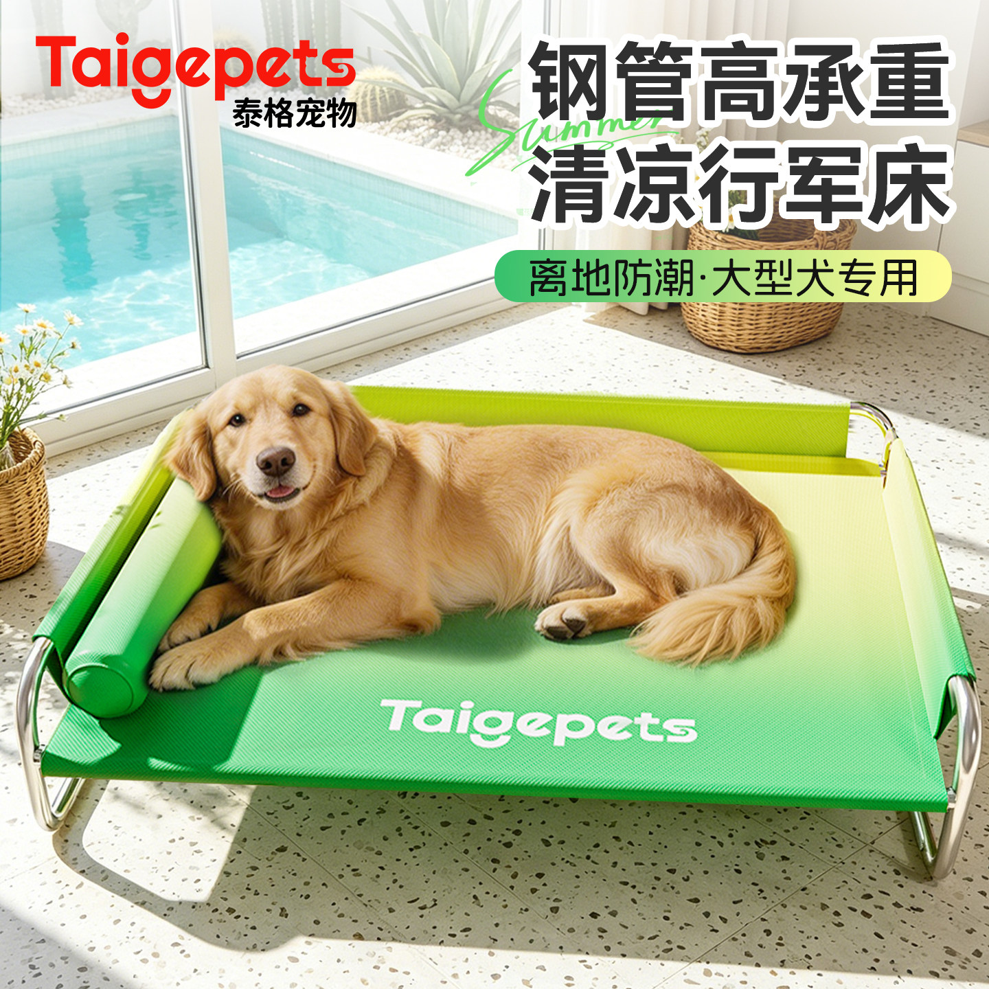 狗狗行军床新式狗窝四季通用可拆洗中大型犬专用金毛边牧夏季狗床
