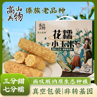 高山美物花糯小玉米傣族老品种真空包装非转基因西双版纳生态种植