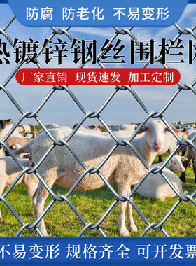 热镀锌防锈铁丝网养殖围栏圈牛羊钢丝网果园户外隔离防护网勾花网