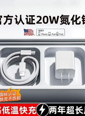 耐瑟】小冰块适用苹果iPhone15充电器充电头线快充小冰块14ProMax13/12/11双typec平板iPad通用套装20W氮化镓