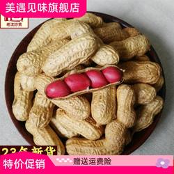 2023年新货东北扶余四粒红花生500g带壳原味生熟花生现炒红皮花生