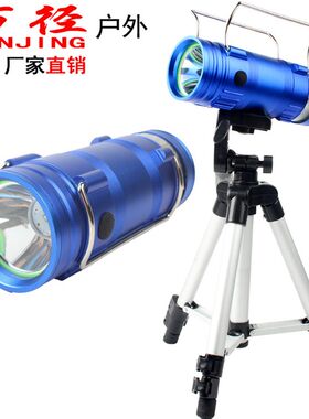 蓝白双光源钓鱼灯 led定焦远射大功率20W 饵灯夜钓手提户外双头灯