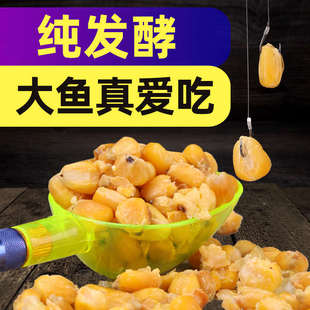 曲香纯发酵老坛玉米底窝u料打窝料钓鲤鱼草鱼青鱼巨物野钓大物饵
