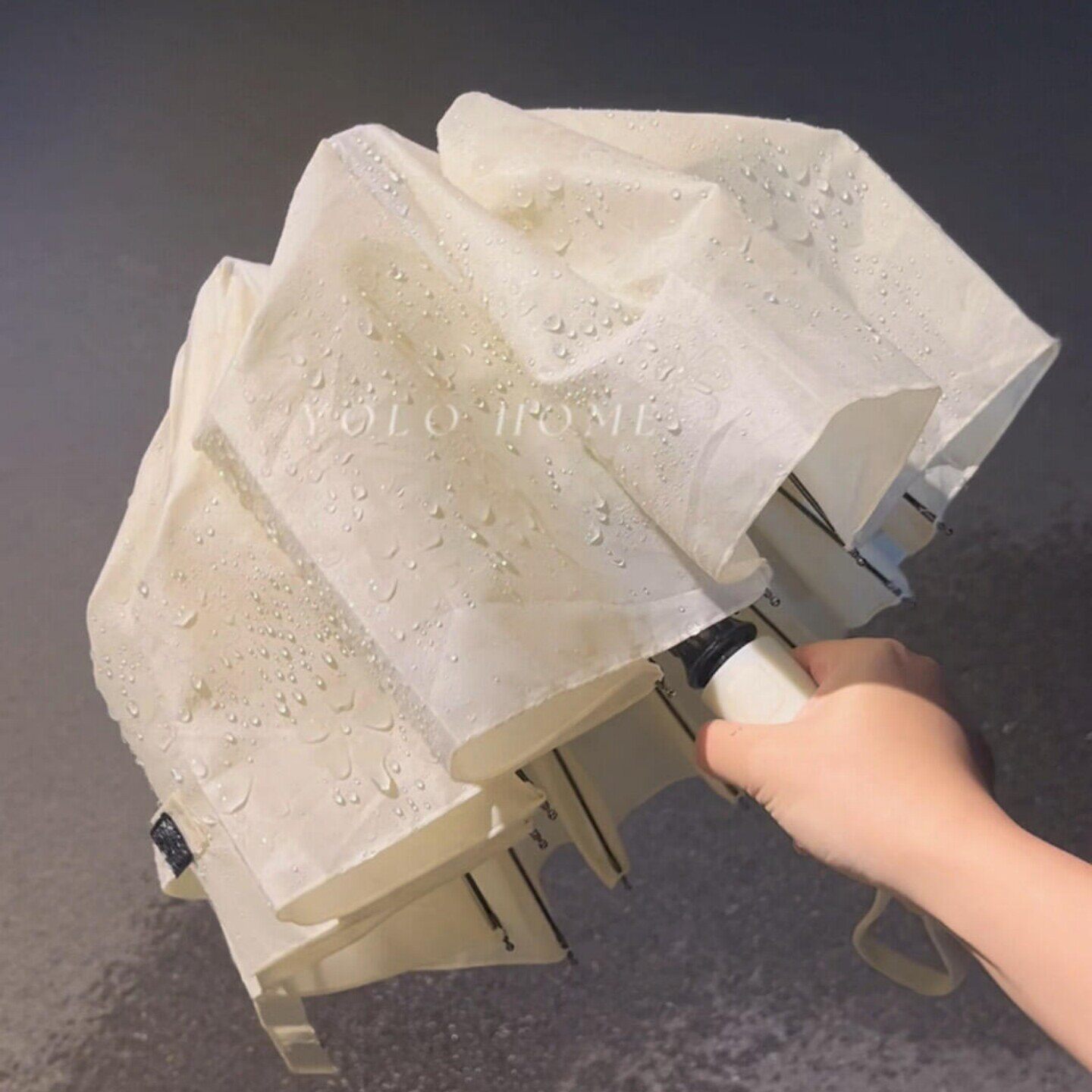 遇水开花雨伞高颜值创意感加大抗风暴自动折叠大号高级感男女雨伞