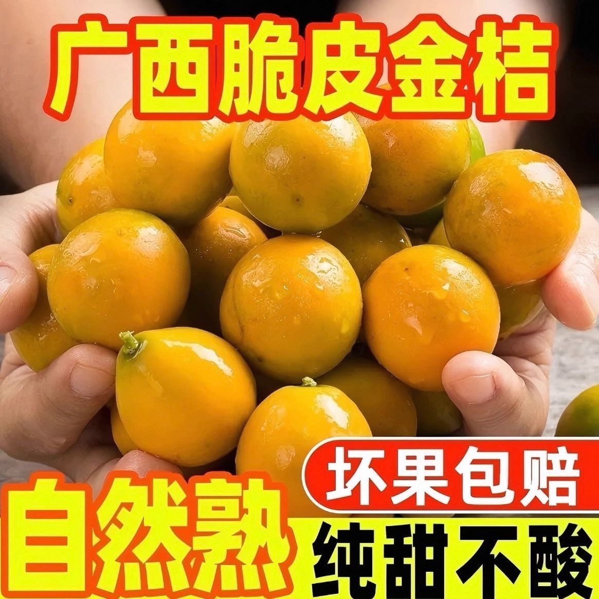 广西第二代脆皮金桔I纯甜不酸