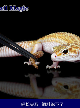 镊子爬宠守宫乌龟蟋蟀蛇仓鼠角蛙鱼喂食弯头直头防伤爬虫清洁夹子