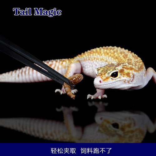 爬宠喂食专用镊子多规格型号