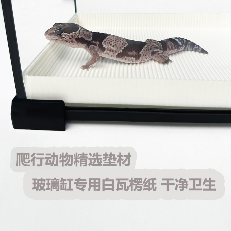蛇守宫专用白色瓦楞纸垫材图片