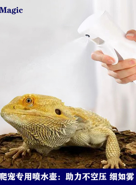 喷壶爬宠爬虫蛇陆龟蜘蛛豹纹守宫睫角R属保湿增湿加水器注水瓶