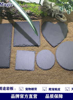 岩板爬宠陆龟石板食盘蜥蜴守宫爬虫蜕皮磨爪保湿垫材天然造景岩石