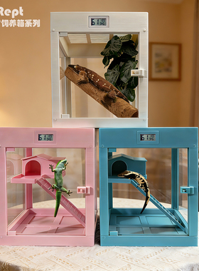 恒温箱爬宠专用智能加热保温箱盖勾亚巨人睫角R属守宫饲养盒套装