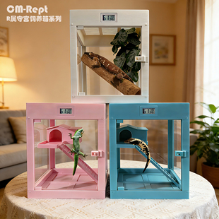 恒温箱爬宠专用智能加热保温箱盖勾亚巨人睫角R属守宫饲养盒套装