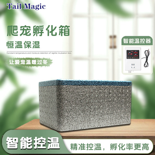 爬宠爬虫豹纹肥尾守宫孵化箱