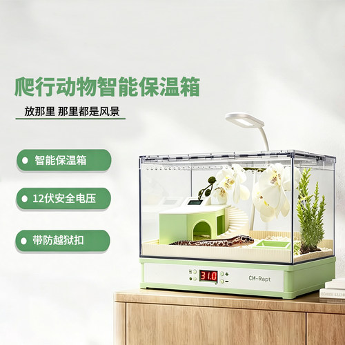 爬宠蛇守宫专用恒温箱