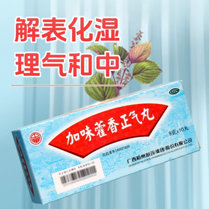 中华加味藿香正气丸9g*10丸/盒风寒暑湿感冒肚子胀头痛呕吐腹泻药