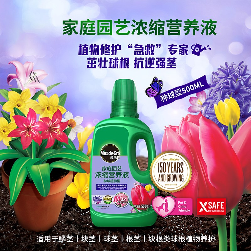 速发鬼朱顶红种球水仙营养液阿弗花棵魅安吉拉肥料养雷球根花