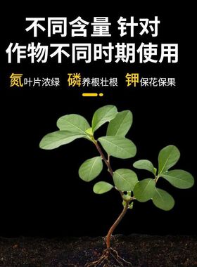 速发大量元素20-溶0-20+TE水2肥冲施肥有机肥果树蔬菜专用2料肥0k