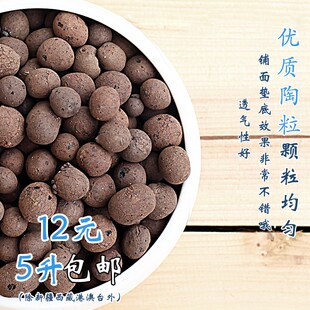 速发垫底陶粒营养土实保水净化空气多肉彩色面心陶土颗粒铺吸包邮