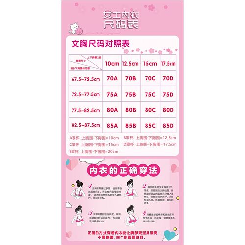 女士内衣尺码表海报展板穿戴文胸的正确方法内衣的正确穿法墙贴