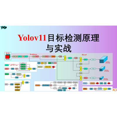 炮哥带你学yolo11算法手把手教学