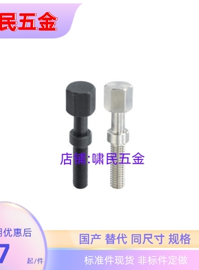 PAY21-M4/M5-L10/L15/L20/25/30/35/40/45/50/55/60粗牙 调整螺栓