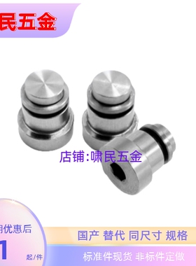 LLT3.5/5 LLTS3.5 5 ICE11 ICE12-T3.5 T5直线导轨定位销 偏心销